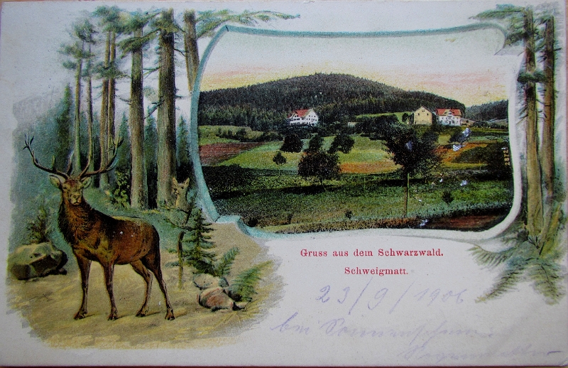 2013-08-14_15.48.42.jpg - Postkarte 1901